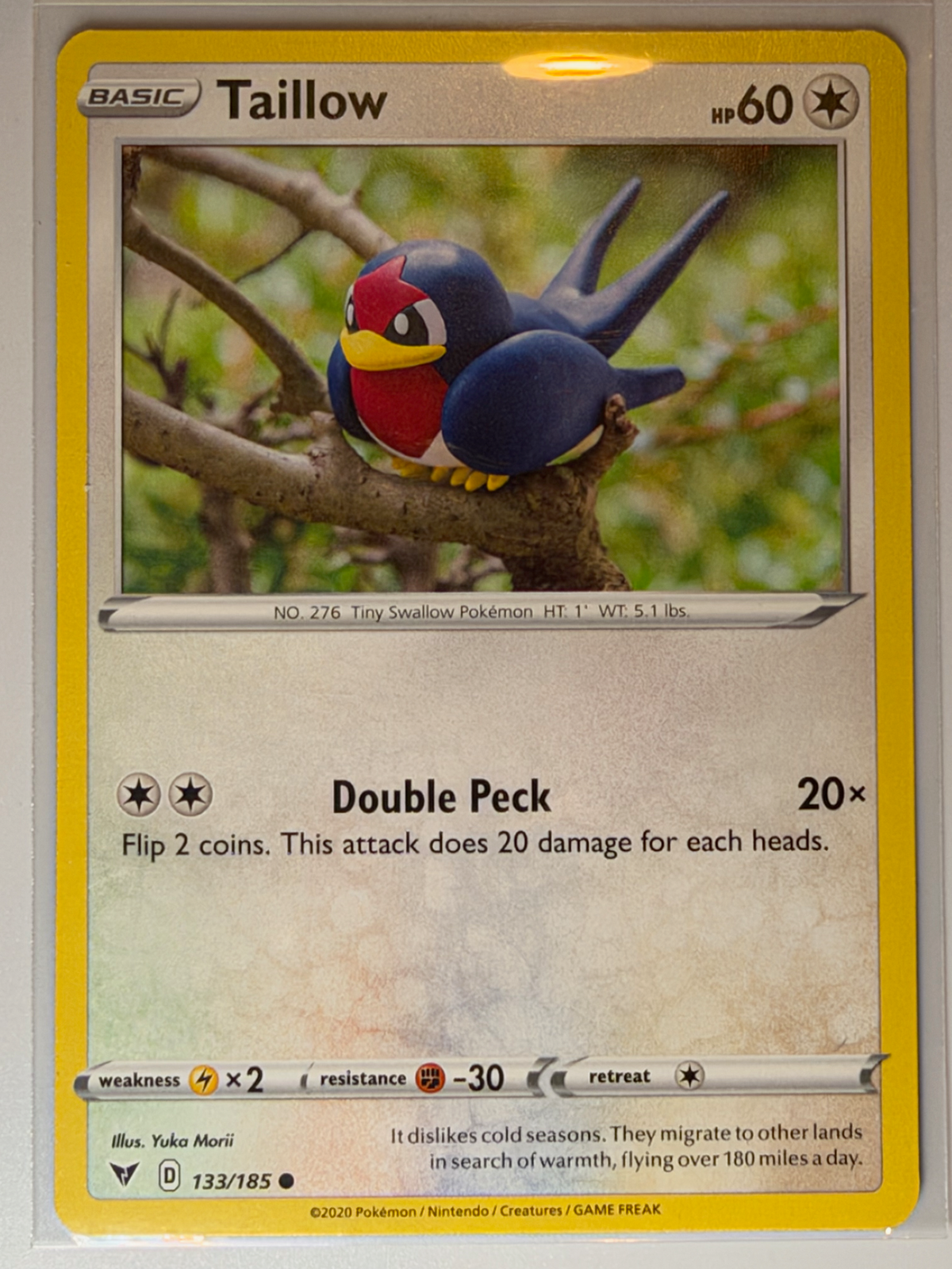 Taillow, Vivid Voltage
