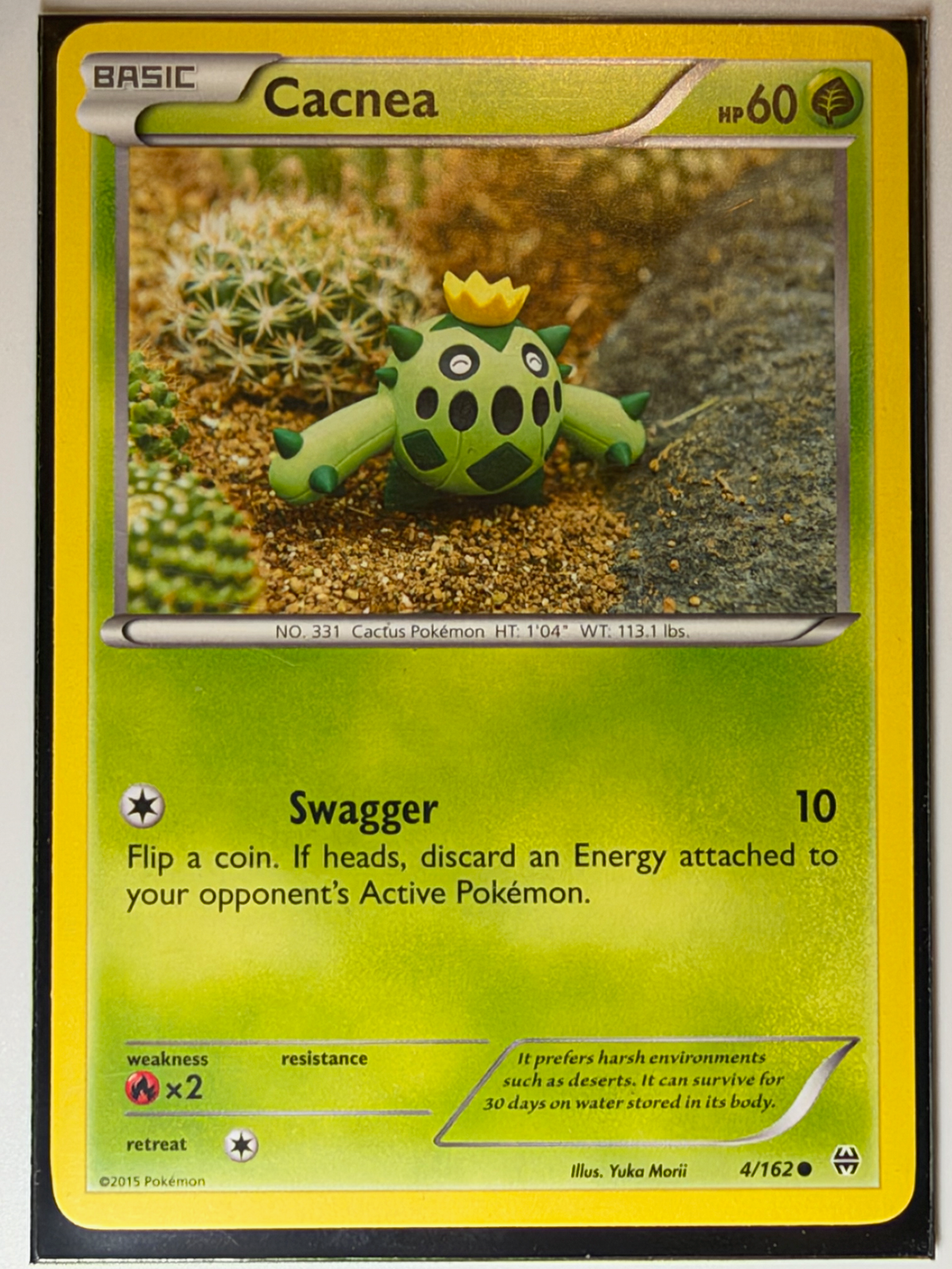Cacnea, BREAKthrough