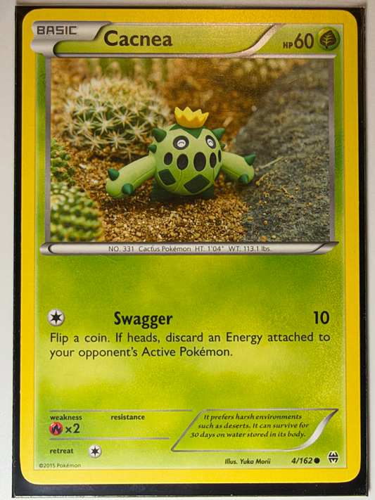 Cacnea, BREAKthrough