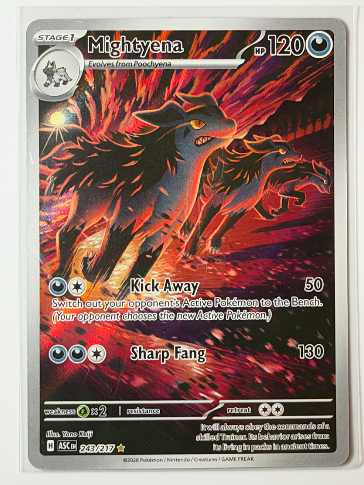 Mightyena, Ascended Heroes
