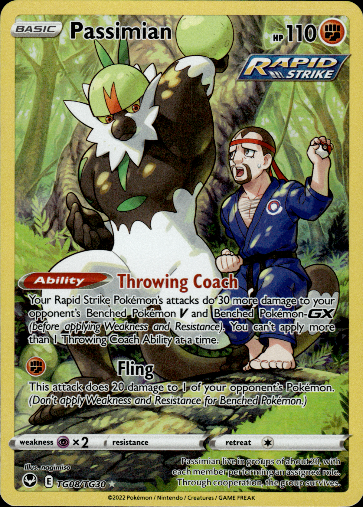Passimian, Silver Tempest